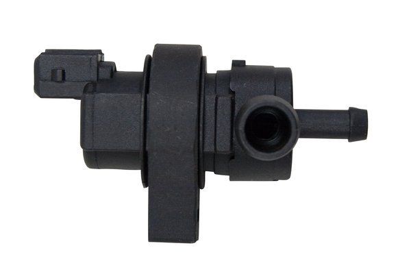 TRUCKTEC AUTOMOTIVE Valvola ventilazione / sfiato, Serbatoio carburante 08.13.017 08.13.017 costo Valvola ventilazione / sfiato, serbatoio carburante TRUCKTEC AUTOMOTIVE FIAT COUPE