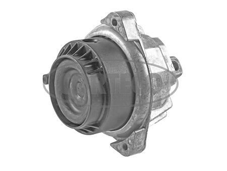 CORTECO Motorsteunlager 49357939 CORTECO 49357939 Motorophanging BMW F13 originele prijs