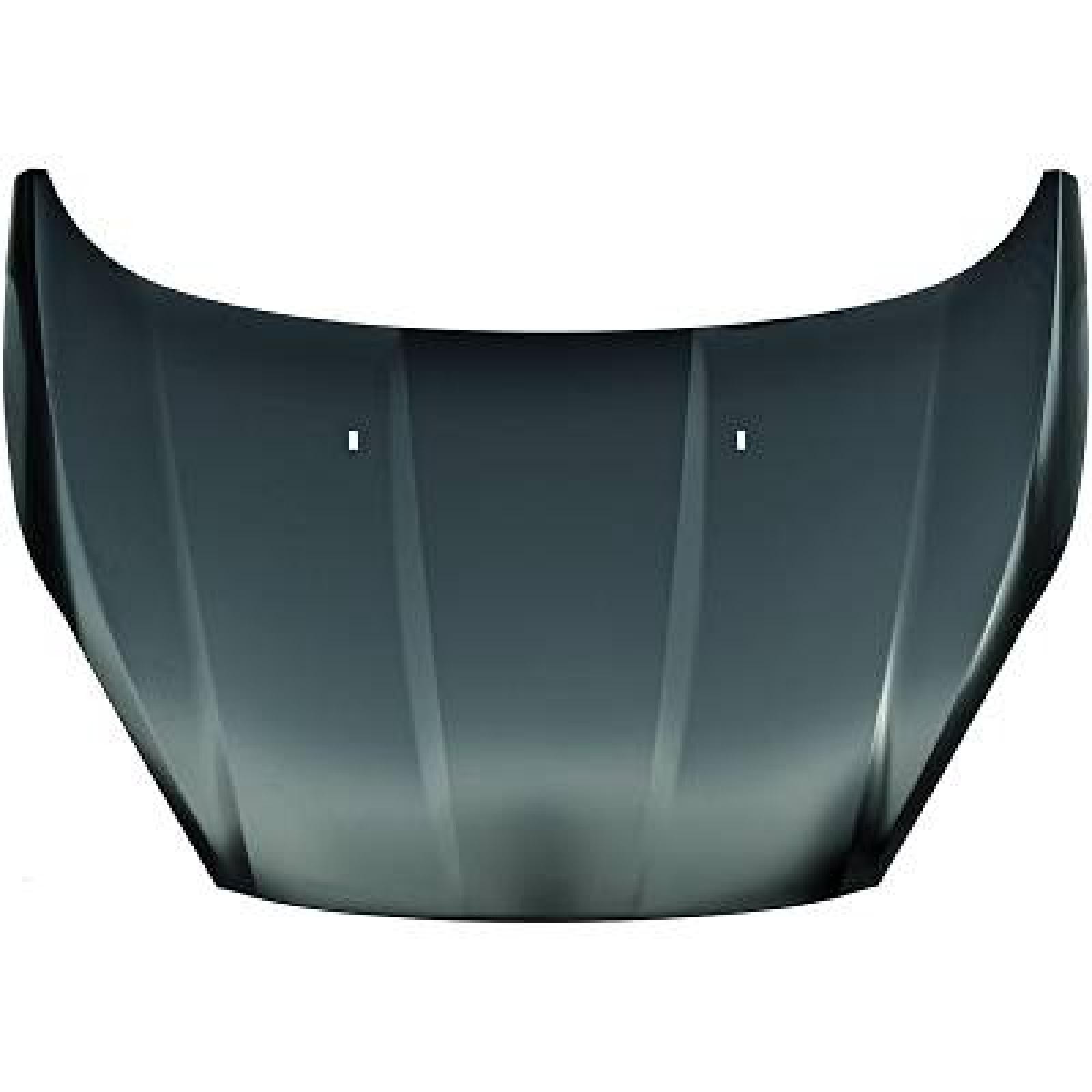 DIEDERICHS Bonnet 1405100 1405100 DIEDERICHS hood for FORD MONDEO