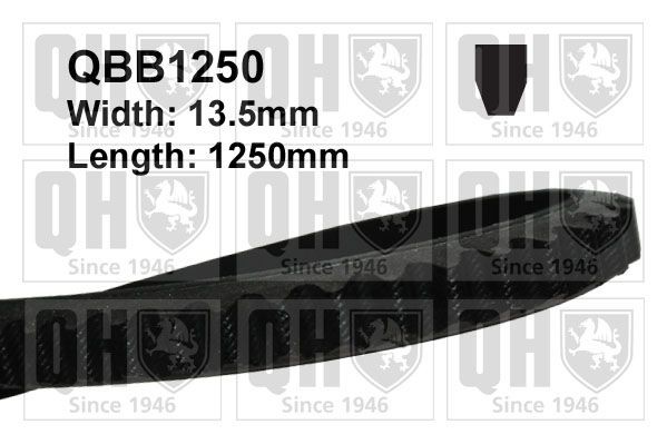 Ķīļsiksna QUINTON HAZELL QBB1250 QUINTON HAZELL QBB1250 Ķīļsiksnas ISUZU TROOPER 1999