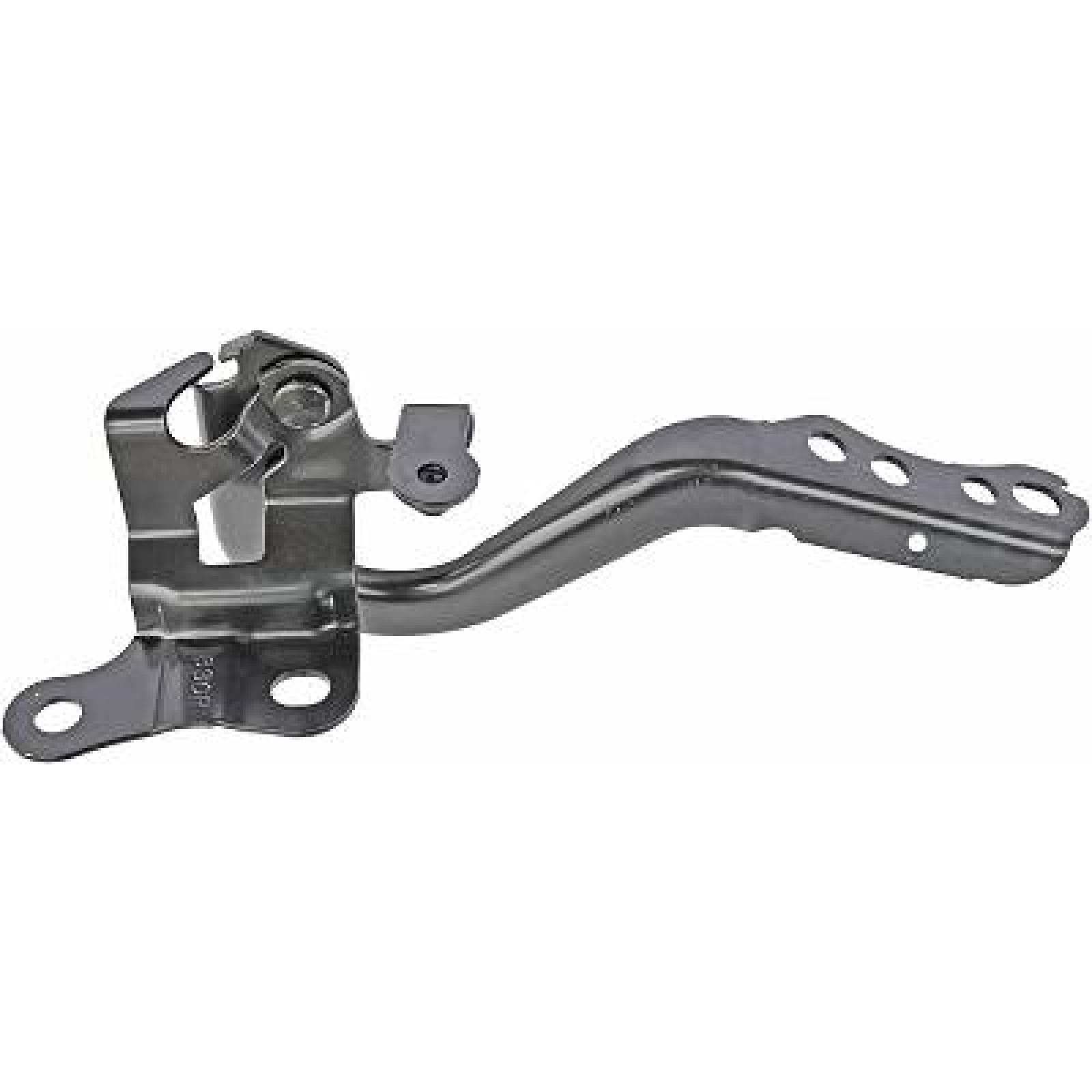 DIEDERICHS Hengsel, motorpanser 6607018 Panser DIEDERICHS SsangYoung RODIUS 6607018