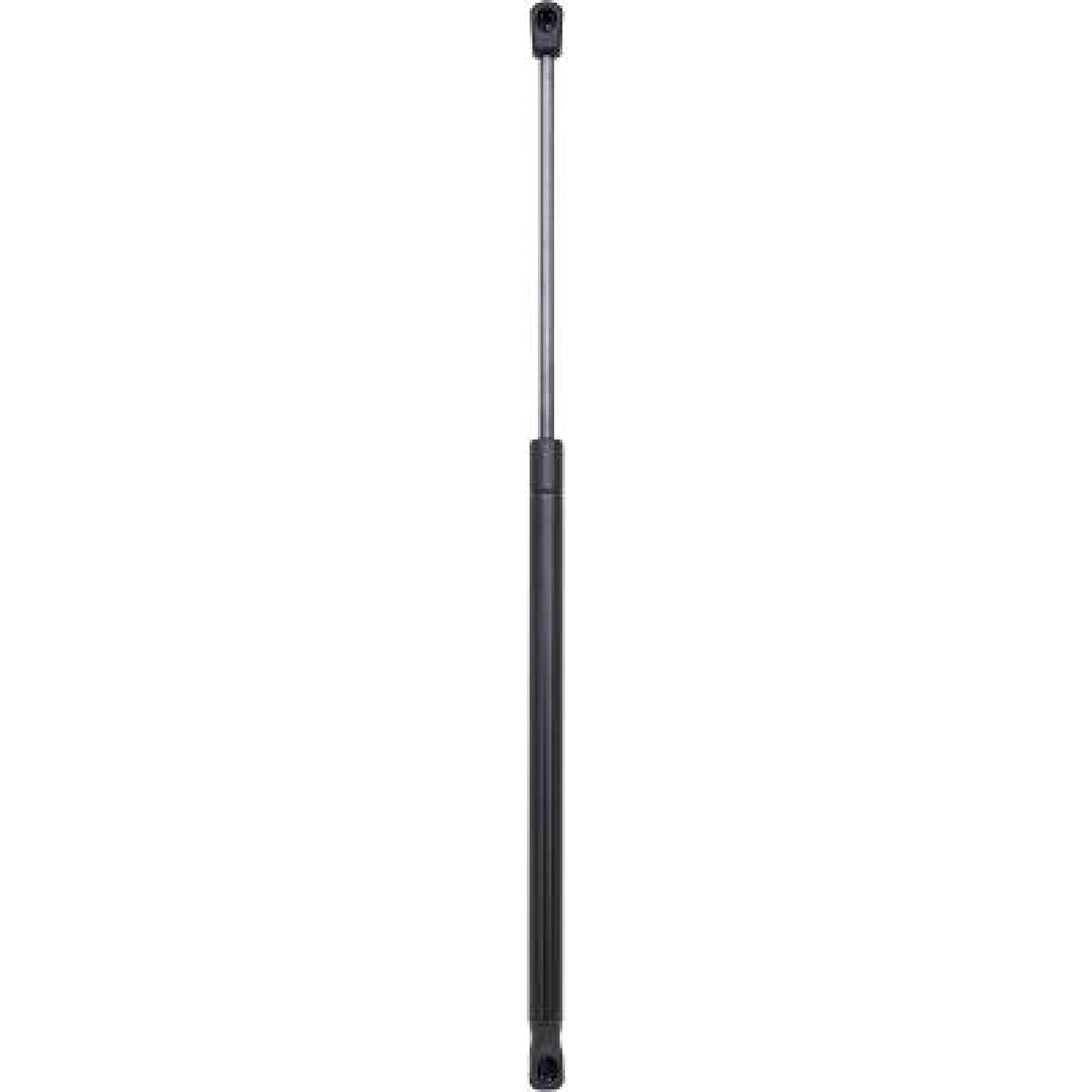 DIEDERICHS Gasveer achterklep 9121602 Toyota RAV 4 Gasveer kofferbak DIEDERICHS 9121602