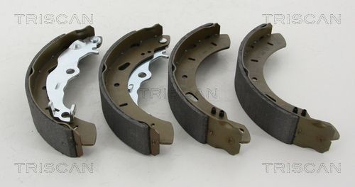 TRISCAN Bremsesko sett 8100 16015 8100 16015 Bremseskosett FORD MAVERICK TRISCAN