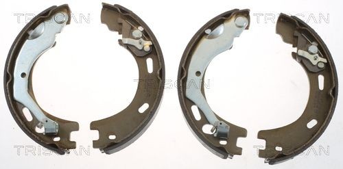 TRISCAN Bremsesko sett 8100 18016 Trommelbremse TRISCAN SPORTAGE 8100 18016 billige