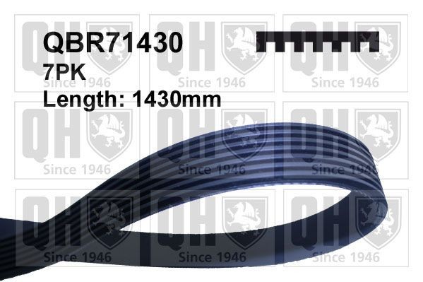 QUINTON HAZELL Multirem QBR71430 BMW multirem QUINTON HAZELL QBR71430