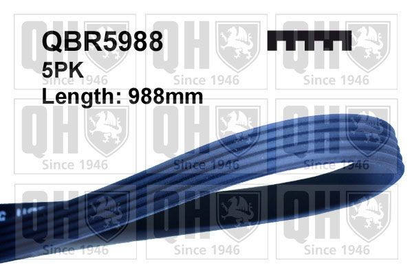 QUINTON HAZELL Ķīļrievu siksna QBR5988 QUINTON HAZELL QBR5988 Rievsiksna Continental Coupe (3S3) cena