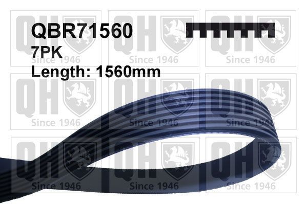 QUINTON HAZELL Serpentine belt QBR71560 Volkswagen SHARAN QUINTON HAZELL serpentine belt QBR71560