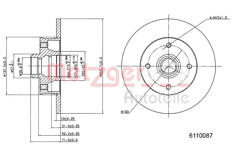 METZGER Brzdový kotouč 6110087 Športové brzdové kotúče SEAT METZGER 6110087