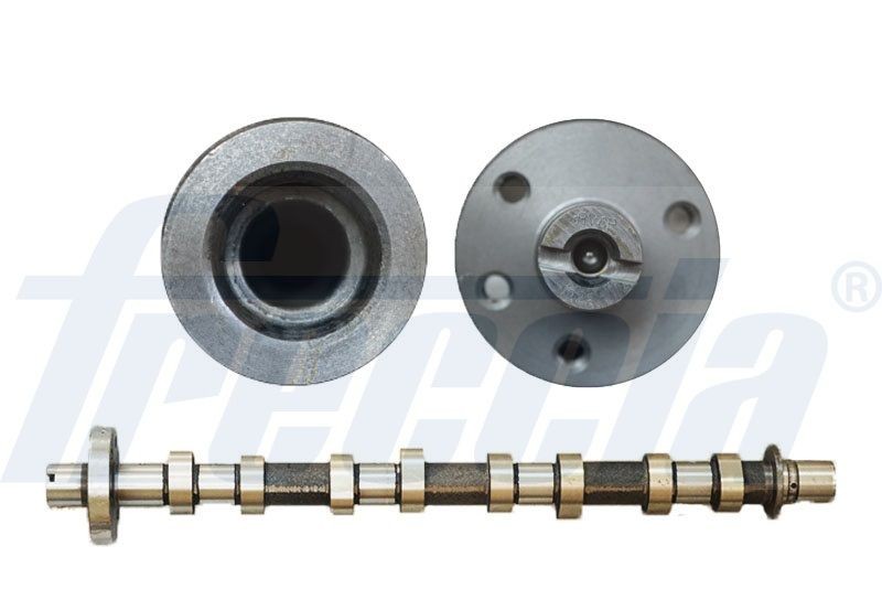 FRECCIA Árvore de cames CM05-2194 Árvore de comando de válvulas FRECCIA NISSAN CM05-2194