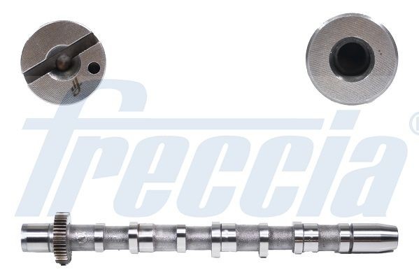 FRECCIA Vačkový hriadeľ CM05-2189 Vačkový hriadeľ Volkswagen FRECCIA CM05-2189