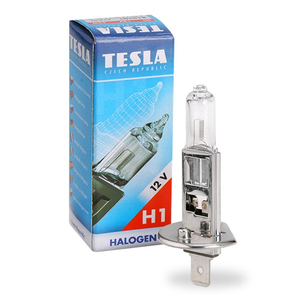 TESLA Λυχνία, μεγάλα φώτα B10101 B10101 TESLA Λυχνία προβολέα ομίχλης Dacia φθηνά