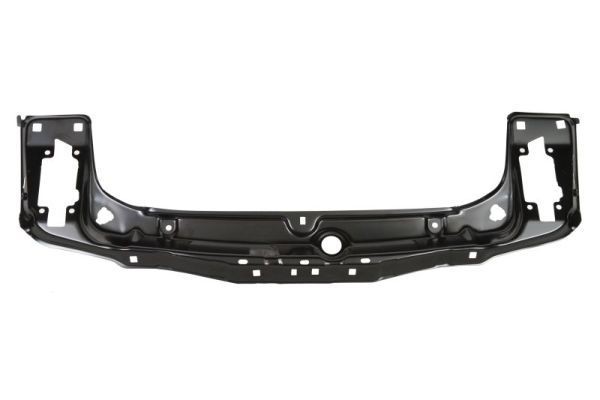BLIC Esiosa detailiring 6502-08-0063201P BLIC 6502-08-0063201P originaal Esipaneel BMW E71 hind
