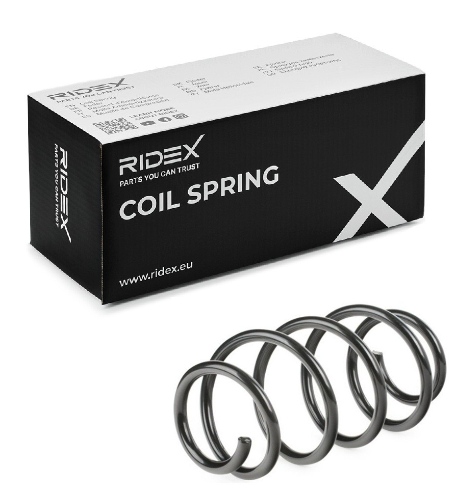 RIDEX Ressort de suspension 188C0242 Ressorts RIDEX KANGOO 188C0242 pas cher