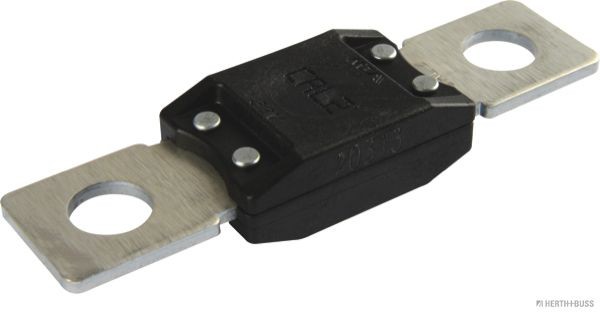 HERTH+BUSS ELPARTS Ασφάλεια 50295842 Ασφάλεια HERTH+BUSS ELPARTS DOBLO 50295842 φθηνά