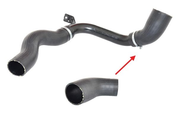 BUGIAD Vase d'expansion, liquide de refroidissement BSP20100 BSP20100 Vase d'expansion de liquide de refroidissement BUGIAD SKODA FELICIA