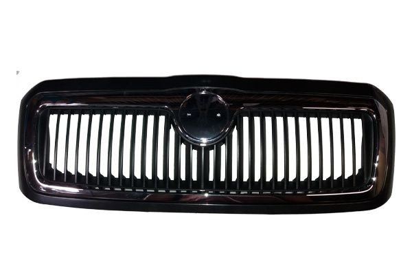 BUGIAD Radiator Grille BSP20204 BSP20204 BUGIAD sport grille for SKODA FABIA