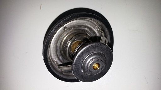 BUGIAD Termostat, kølemiddel BSP21549 BSP21549 BUGIAD Termostat Skoda billig