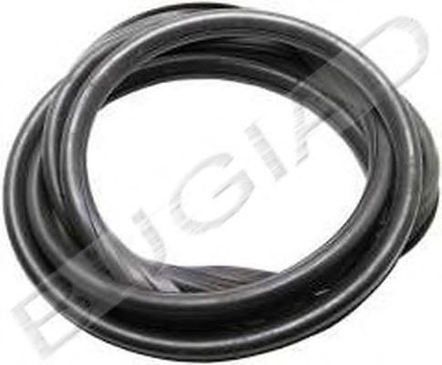 BUGIAD Afdichting, voorruit BSP21830 BSP21830 Raamrubbers MAZDA BT-50 BUGIAD