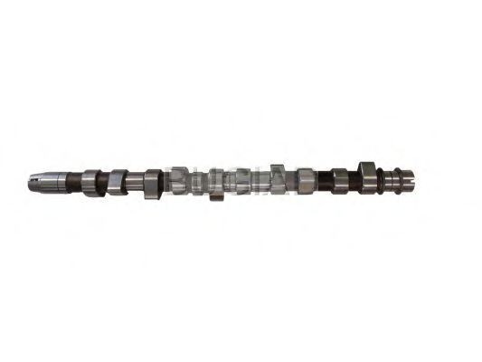 BUGIAD Camshaft BSP23344 SKODA BUGIAD cam kit BSP23344
