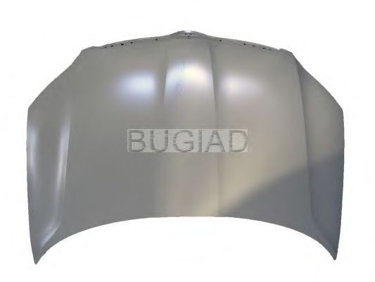 BUGIAD Motorpanser BSP24022 BUGIAD BSP24022 originale Panser Skoda Yeti 5l hva koster