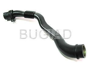 BUGIAD Letku, venttiilikopan tuuletus BSP24464 BSP24464 BUGIAD Letku, venttiilikopan tuuletus Seat TOLEDO hinta