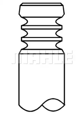 MAHLE Väljalaskeventiil 029 VA 31961 000 029 VA 31961 000 Väljalaskeklapp MAHLE VOLKSWAGEN 1500/1600