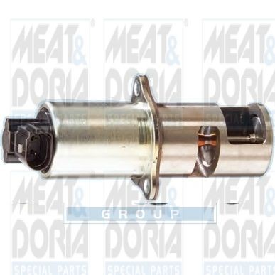 MEAT & DORIA EGR klep 88011R MEAT & DORIA 88011R EGR klep Nissan KUBISTAR originele