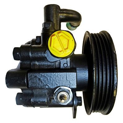 LIZARTE Power steering pump 04.17.0100 LIZARTE 04.17.0100 Toyota Corolla E11 Estate steering pump replacement