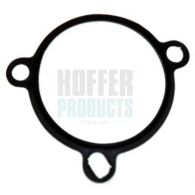 HOFFER Guarnizione valvola EGR (ricircolo gas scarico) 9101604 9101604 HOFFER Guarnizione valvola egr Volkswagen prezzo