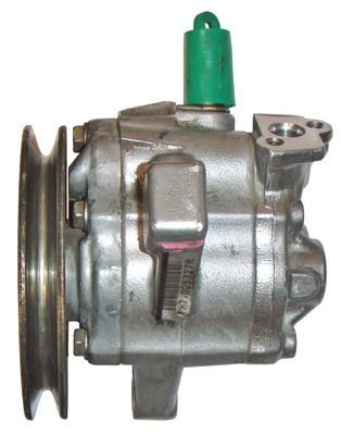 LIZARTE Servopumpe 04.92.0110 LIZARTE 04.92.0110 800 Coupe Servostyring pumpe pris