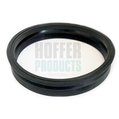 HOFFER Guarnizione, Sensore livello carburante 750GSK04 750GSK04 Guarnizione, sensore livello carburante FORD FOCUS HOFFER costo