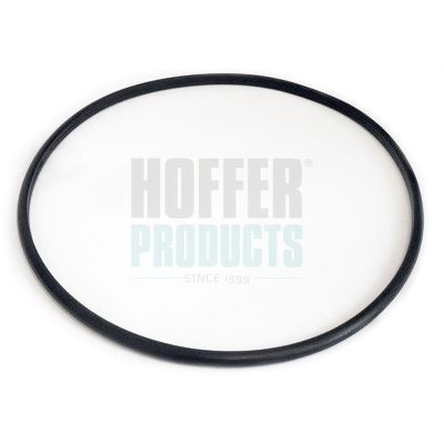 HOFFER Guarnizione, Sensore livello carburante 750GSK06 750GSK06 Guarnizione, sensore livello carburante HOFFER FORD FOCUS costo