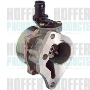 HOFFER Vakuumpumpe, bremseanlegg 8091068 HOFFER 8091068 Vakuumpumpe for bremsekraftforsterker Renault Kangoo Express pris