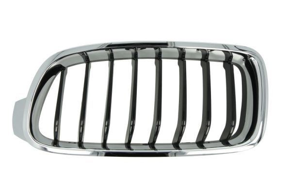BLIC Radiator Grille 6502-07-0063995P BLIC 6502-07-0063995P genuine Jaguar E-PACE grille assembly price