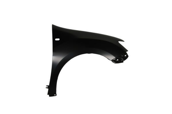 BLIC Spatbord 6504-04-1303312P BLIC 6504-04-1303312P Voorspatbord en achterspatbord Renault Laguna 3 Coupe prijs