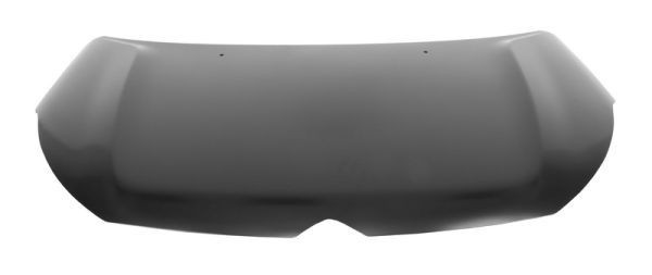 Motorpanser BLIC 6803-00-0539280P BLIC 6803-00-0539280P: Panser Citroen C4 2020