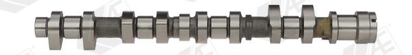 AE Nokkenas CAM959 Peugeot 206 Nokkenassen AE CAM959