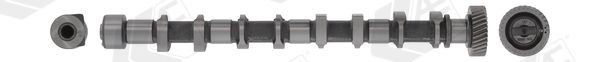 AE Kamaxel CAM946 AE CAM946 Kamaxel Opel Astra H Sedan original