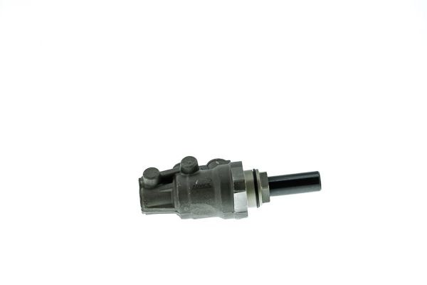 Peapiduri silinder AISIN BMT-387 AISIN BMT-387 LEXUS GS 2011 Piduri peasilinder