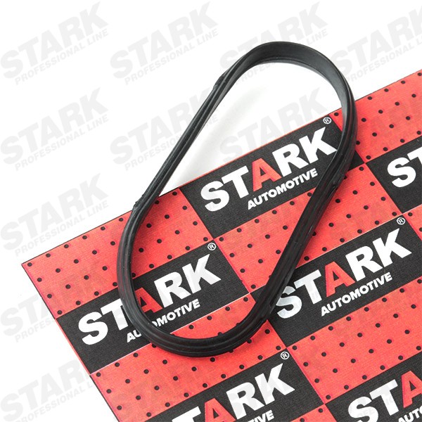 STARK Ansaugkrümmer-Dichtung SKGI-0710058 SKGI-0710058 STARK RENAULT Ansaugkrümmerdichtung