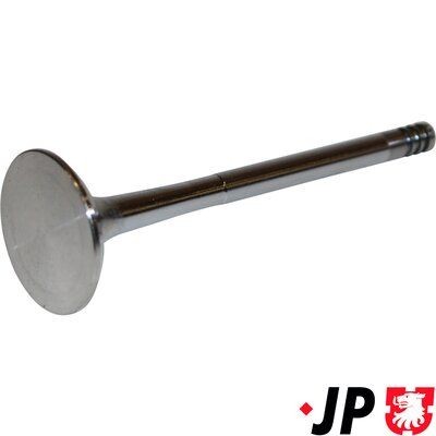 JP GROUP Βαλβίδα εξαγωγής 1111303900 Βαλβίδα εξαγωγής JP GROUP BMW Σειρά 5 1111303900
