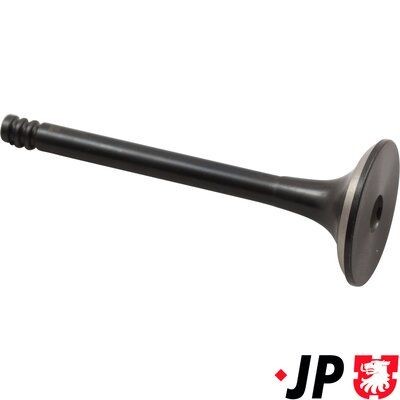 JP GROUP Valvola di scarico 1111306700 1111306700 costo Valvola di scarico JP GROUP BMW Serie 5