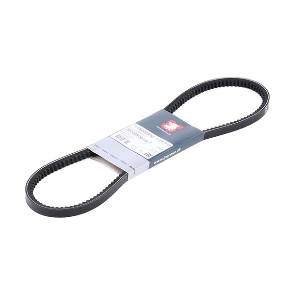 JP GROUP V-riem 1118000300 JP GROUP V-snaar JEEP 1118000300