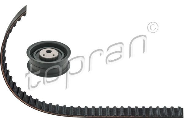 TOPRAN Hammasrihma komplekt 101 433 Hammasrihma TOPRAN Renault MEGANE 101 433