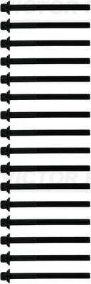 REINZ Jogo de parafusos da cabeça do motor 14-10597-01 REINZ 14-10597-01 originais Parafuso de cabeçote Hyundai Sonata NF custo