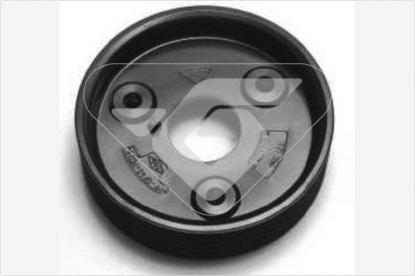 HUTCHINSON Τροχαλία, αντλία υποβοήθησης P2008 HUTCHINSON P2008 Τροχαλία, αντλία υποβοήθησης Renault Laguna 1 τιμες
