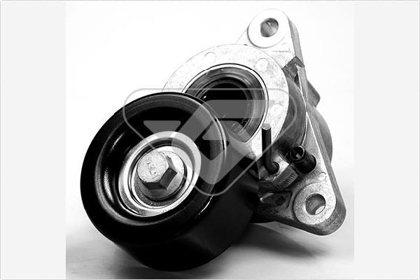 HUTCHINSON Poulie, tendeur de courroie d'accessoire T0058 Nissan BLUEBIRD Galet tendeur HUTCHINSON T0058