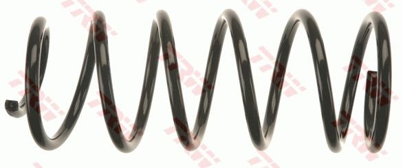 TRW Molle ammortizzatori JCS1138 TRW JCS1138 Molle Escort Express '91 (AVF) prezzo