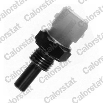 CALORSTAT by Vernet Sonde de température, liquide de refroidissement WS2674 WS2674 Sonde de température moteur SEAT TOLEDO CALORSTAT by Vernet