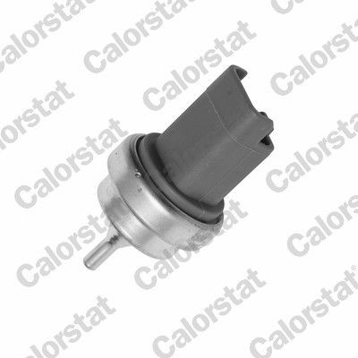 CALORSTAT by Vernet Sonde de température, liquide de refroidissement WS3015 Citroën XSARA Capteur de température du liquide de refroidissement CALORSTAT by Vernet WS3015